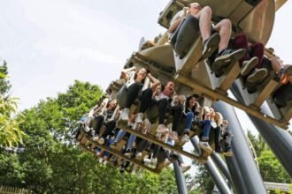 87cd1ec0-080d-11f1-b56b-bf8bb0174edb