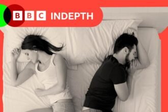 8f1fd1b0-073e-11f1-9972-d3f265c101c6