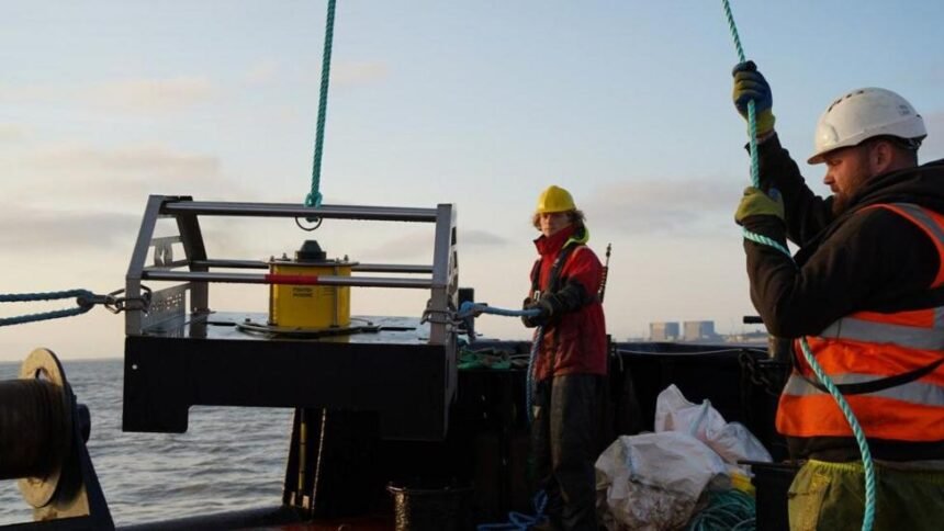 9268f9a0-05c7-11f1-b8f3-e5c6454cb301