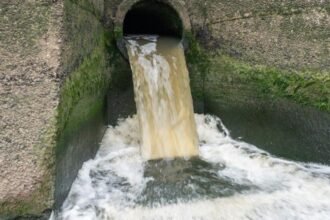 938b4040-00ea-11f1-b7e1-afb6d0884c18