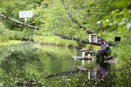 93b64246b262f26333e0c52265166a2b8b08aa746a71a0b23c4d164a8c986d68