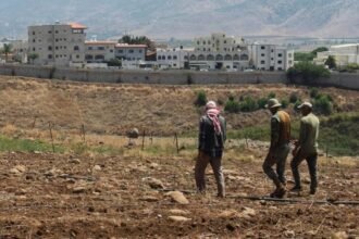 9588fd30-0278-11f1-b5e2-dd58fc65f0f6