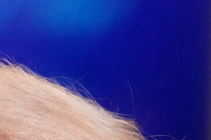 A4G555JJNBCKLCJDTXBUREJX6M