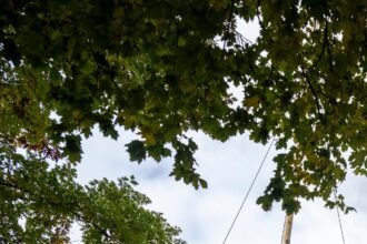 CQHVARNGOVDHPL5QULOU7EK6IQ