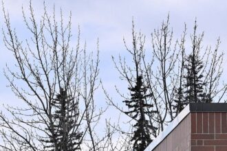 DBCB4RWW3ZFILMHFFC4MGXFWW4-7