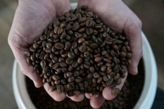 FILE-PHOTO-Brazil-robusta-coffee-growers-push-for-quality-amid-rising-prices-and-climate-concerns-kl