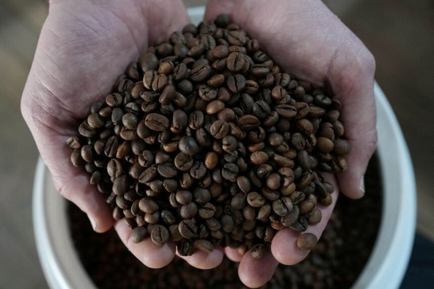 FILE-PHOTO-Brazil-robusta-coffee-growers-push-for-quality-amid-rising-prices-and-climate-concerns-kl