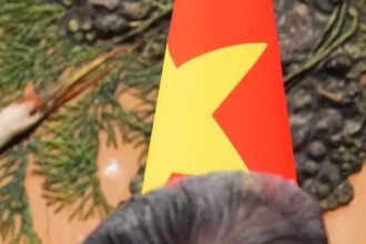 G2U3QTX2WZFDHEUFBC2PUN7KFA