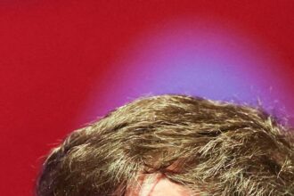 GY6K4O7W2JDDJEAOSPG4SP4TXE