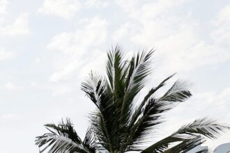 HH2NAETN3VECTD6FYGETZQI3EU