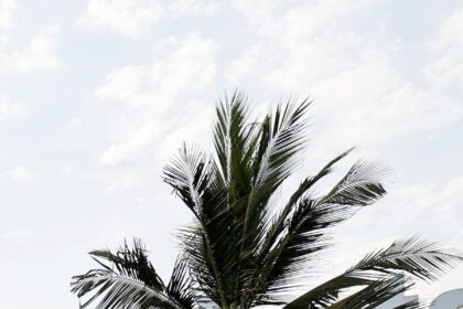 HH2NAETN3VECTD6FYGETZQI3EU