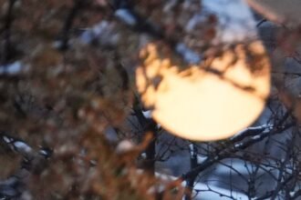 LGAD6HVOTBHERNTLDC4D7YQGGY