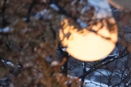 LGAD6HVOTBHERNTLDC4D7YQGGY