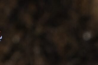 LHF4GFWXJVADXKMHFPY2RMR6PM