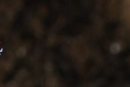 LHF4GFWXJVADXKMHFPY2RMR6PM