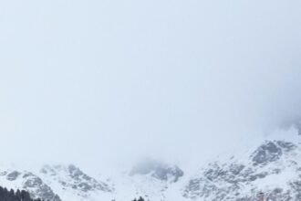 LQ2OLXD675CZHFUOY7LBWPQAHI