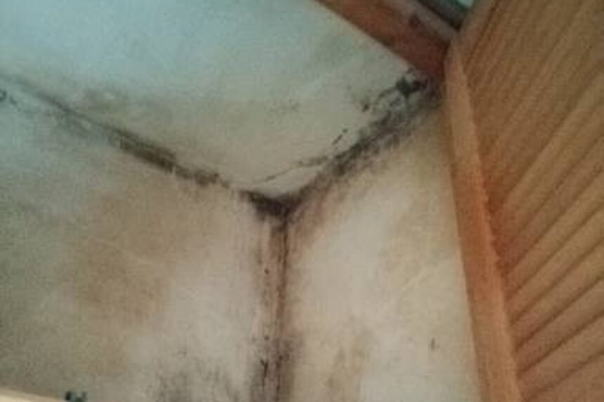 Mould-in-cupboard