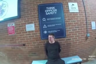 Murderer-tells-police-hell-miss-Grand-Theft-Auto-after-admitting-to-killing-ex-partner