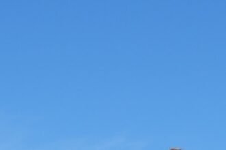 OKK4C2LEN5B4RNVTCGK6LLLJGM