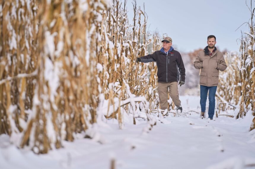 PJCWBTE35NHFVIS6ZIRMWA7V7I