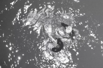 Screenshot-2026-02-07-at-5-00-33-PM