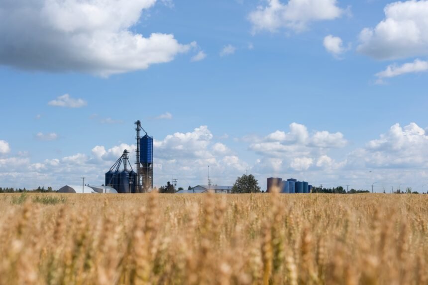 TKPKNAO4Z5AY3IVRPXQ6T2RK54