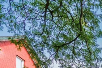 VN6H6AZUAJEHFCS462FNRKKN5Y