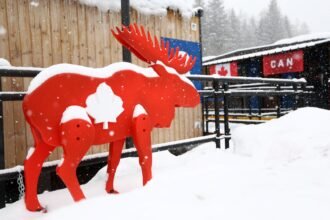 WQOQIUELTBDJBLSUNYDMULGBR4