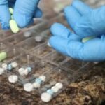 YKLPLVAKUFAIPECWLSO7JZN2EE