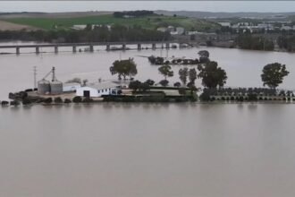 a0423400-0528-11f1-9972-d3f265c101c6