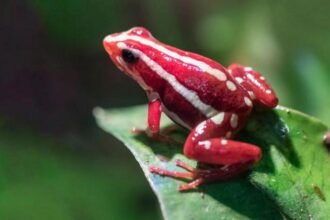 a4c47040-0a98-11f1-9640-7f85e4d0c189