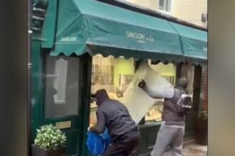 ab6eb3d0-ff79-11f0-b7e1-afb6d0884c18