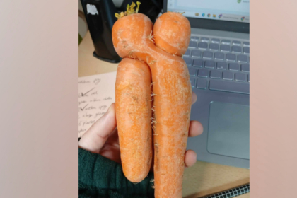 ae6bf770-08ff-11f1-98bd-4facba86d3ed