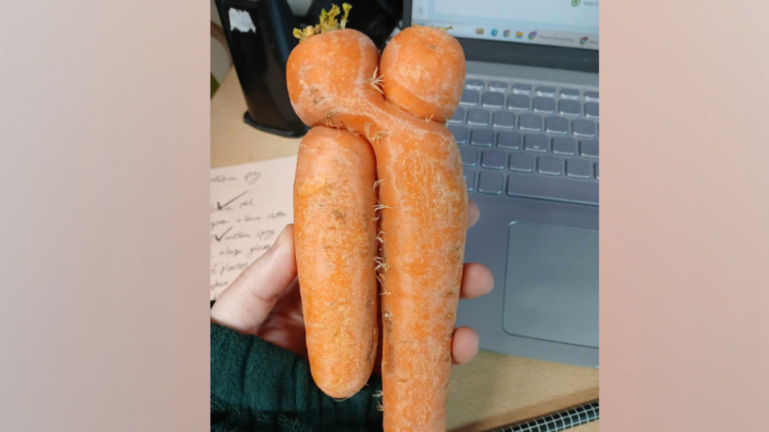 ae6bf770-08ff-11f1-98bd-4facba86d3ed