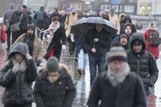 b8a8769e8fdc655138f6a0baf6c3b62aY29udGVudHNlYXJjaGFwaSwxNzcwNDY3OTY1-2.82994225