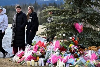 ba60fef0-0854-11f1-b5e2-dd58fc65f0f6