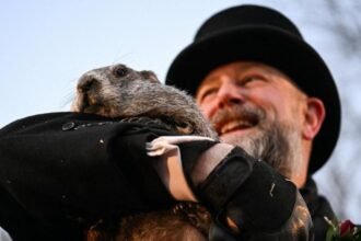 bf2150c0-003e-11f1-b7e1-afb6d0884c18