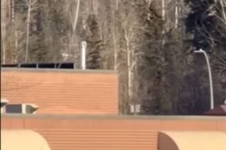 cc5840ca22e2d4ef1631c36d49fce6b36dab66752b27534e5558815cb0def9d5