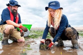 d1da3420-00f2-11f1-900a-0d91b55e4ab5