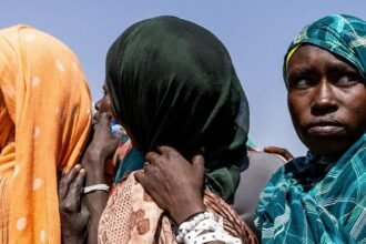 d9a917a0-0905-11f1-b7e1-afb6d0884c18