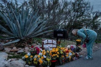 e631f240-092c-11f1-9b8e-358033f9eafe