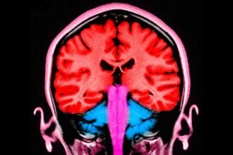 f1e86890-081d-11f1-8fdd-d9a354700c27