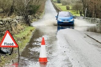 f5cbc2e0-02af-11f1-83b0-21555a6f44a1