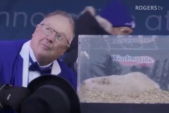 https3A2F2Fd3d444jn19227z.cloudfront.net2F02-02-20262Ft_0745abb368f143a49c395faf35a346fa_name_Cda_Groundhog_Day20260202T1000