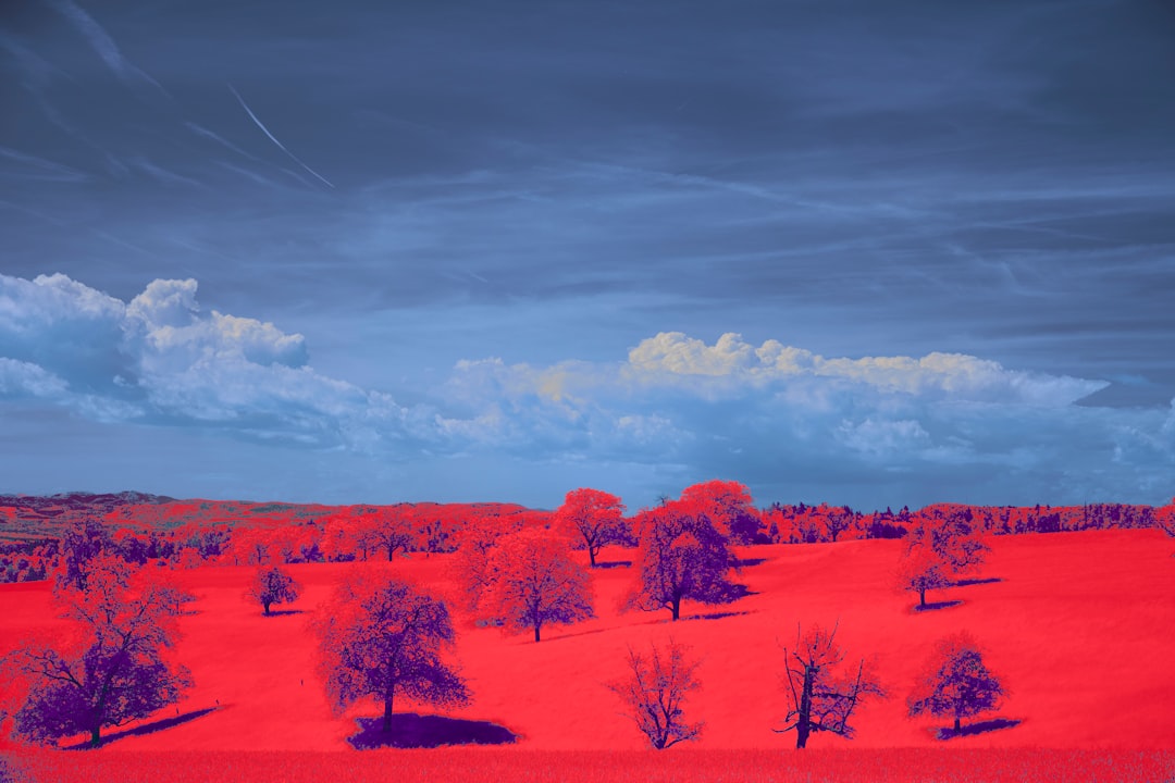 A Shift in Perspective