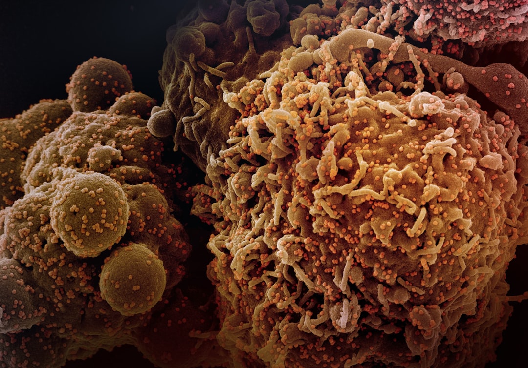 The Role of Diet in Cancer Prevention