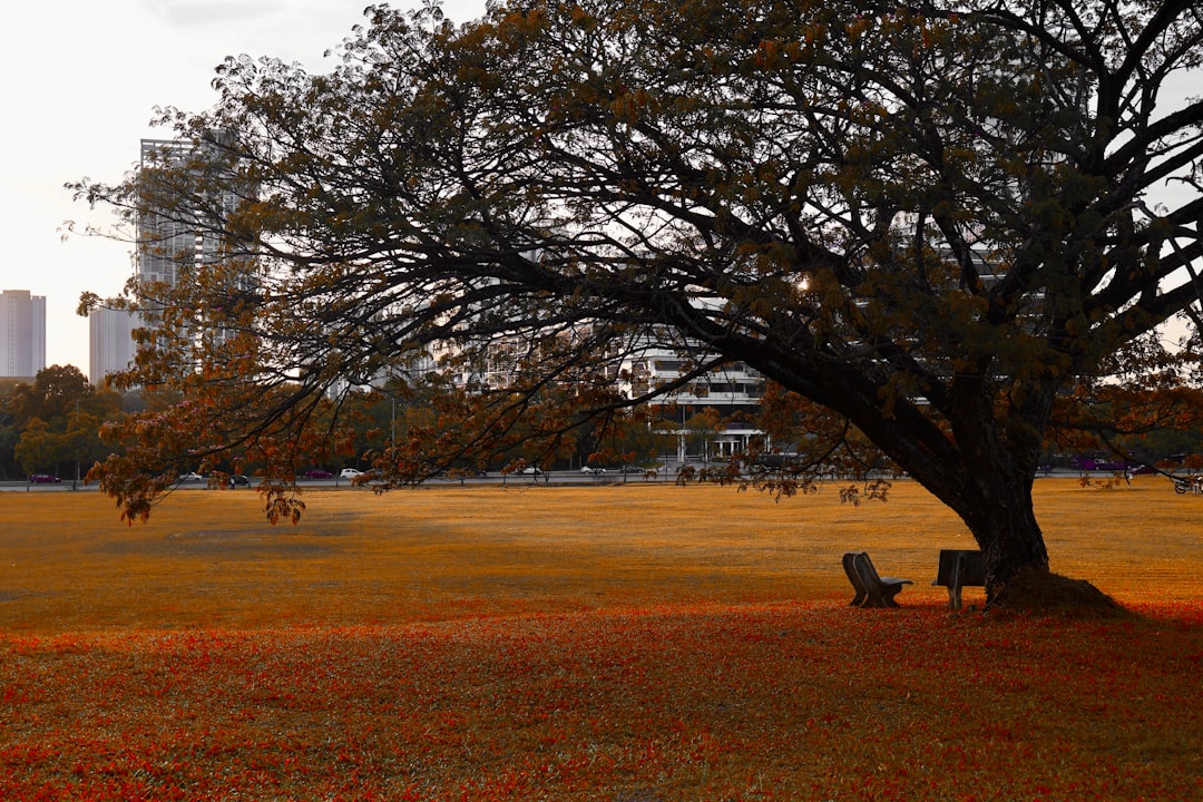 A Shift in Public Sentiment