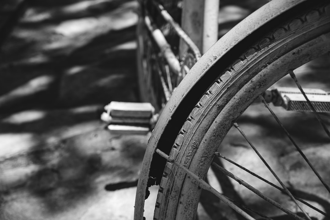 The Shadows of His Past