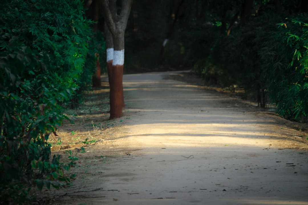 The Path Forward: A Call for Comprehensive Solutions