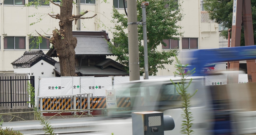 Progressive Momentum vs. Traditional Values